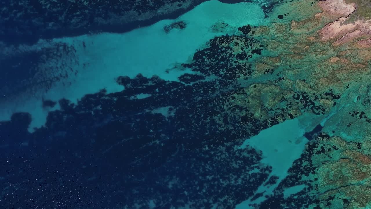 Clear waters of Corsica reveal underwater life near the coastline