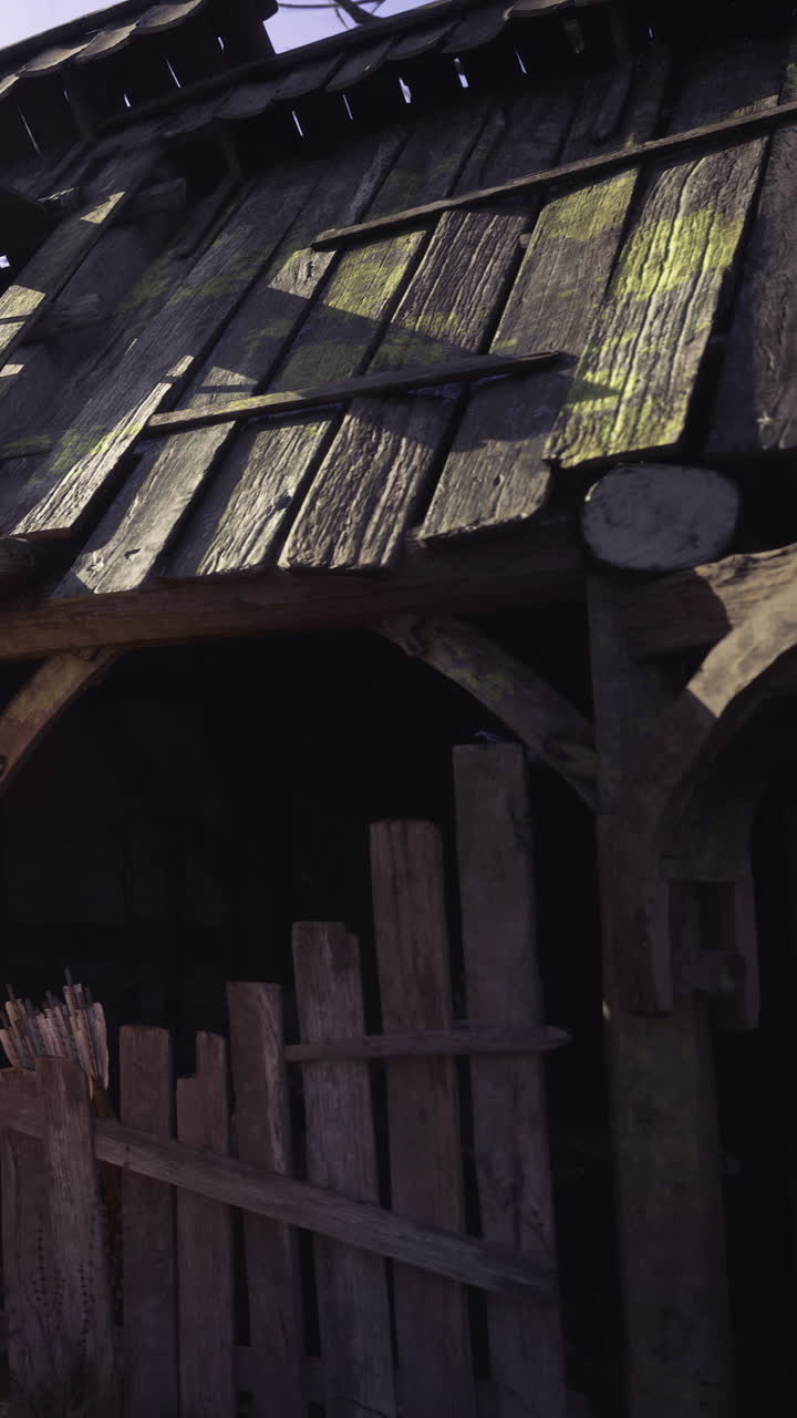 Vecchio capannone di legno circondato da un fascino rustico nella luce dorata del pomeriggio.