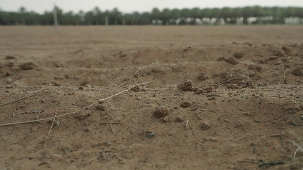 Dry, Unplanted Field