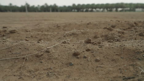 dry, unplanted field