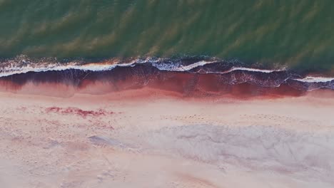 golden sunlight highlights soft waves washing red-hued baltic sea shoreline