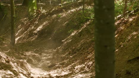 mountain biker carves turns and kicks up dust under light rays in a gully