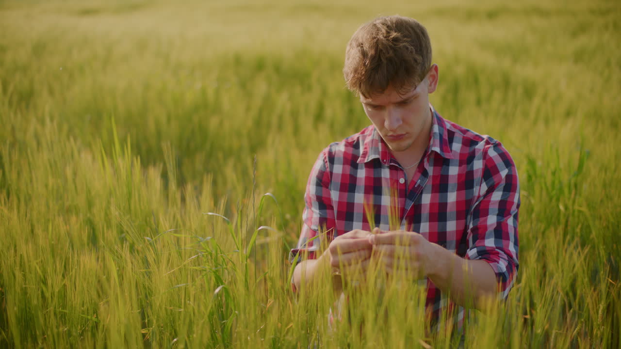 junger bauer, der ein weizenfeld untersucht