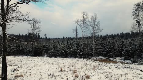 searching for people in the forest in winter