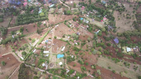 Top-down-view-of-forest,-woodland-aerial-shot