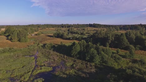 White-Winch-Flying-Over-a-Swampy-Area.-Aerial