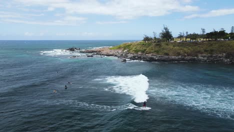 surfer catching and riding a wave at local surf spot on hawaii island of maui, aerial