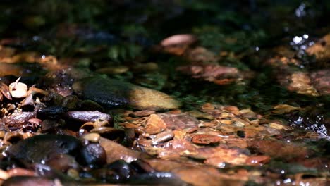 Rocas-En-Un-Arroyo-Que-Fluye-Durante-Un-Día-Soleado-En-El-Bosque,-Parque-Nacional-Kaeng-Krachan,-Tailandia