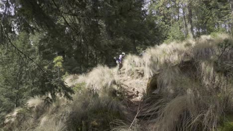 Hiker-with-a-backpack-hiking-through-the-forests-of-Iztaccihuatl-in-Mexico