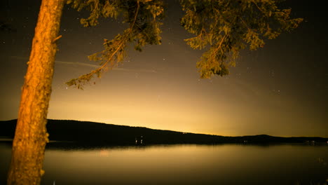 starlapse under tree on calm reflective ocean