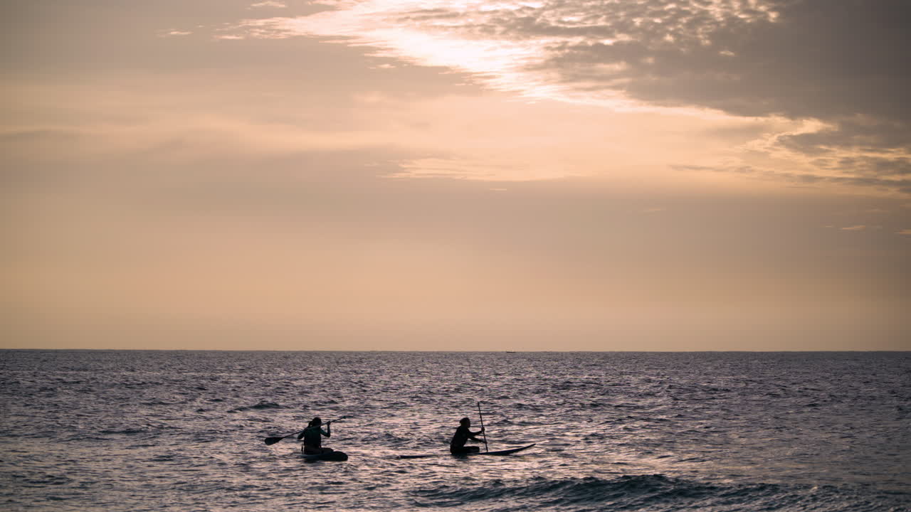 두 명의 젊은 여성이 일몰에 하와이에서 패들 보딩을 서 있습니다 - 바다 위의 경치 좋은 다채로운 일몰