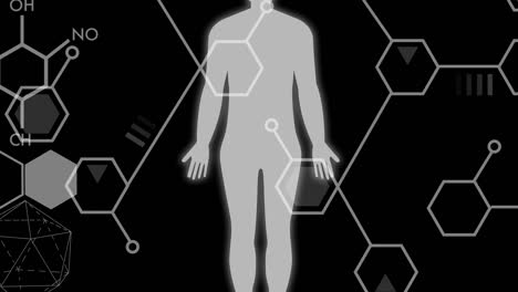 Animation-of-chemical-structures,-scientific-data-processing-and-human-body