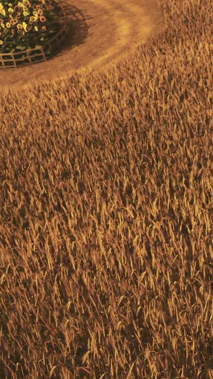 Campi di grano con una composizione floreale circolare al tramonto
