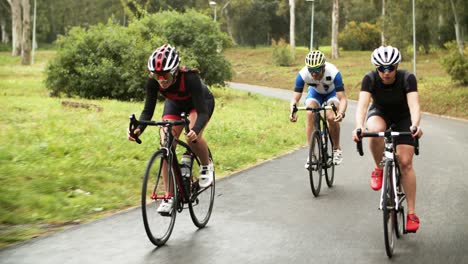 concentrated sportive people riding bicycles