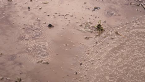 Stetige-Aufnahme-Vieler-Vulkanischer-Quellen,-Die-Auf-Schlammigem-Wasser-Sprudeln,-Nahaufnahme