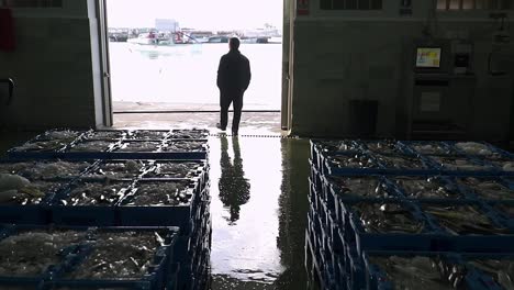 man with his back silhouetted walking towards the door of a warehouse of stacked boxes of fish