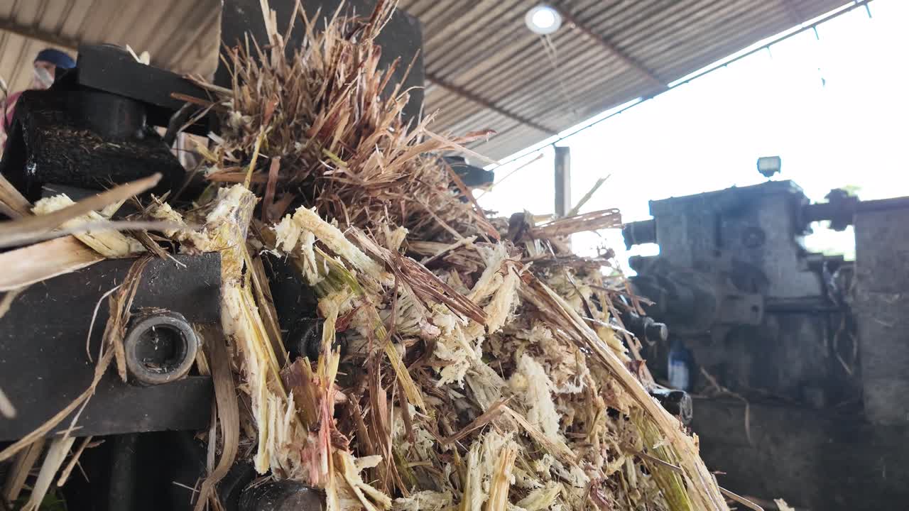 Sugar cane fibers getting crushed inside a juice extraction machine at a mill