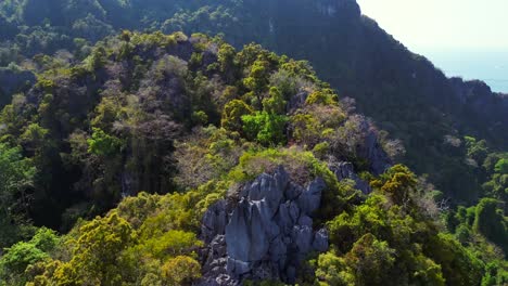 la luz del sol brilla en un denso y vibrante bosque verde que cubre una ladera de la montaña en el sureste de asia.
