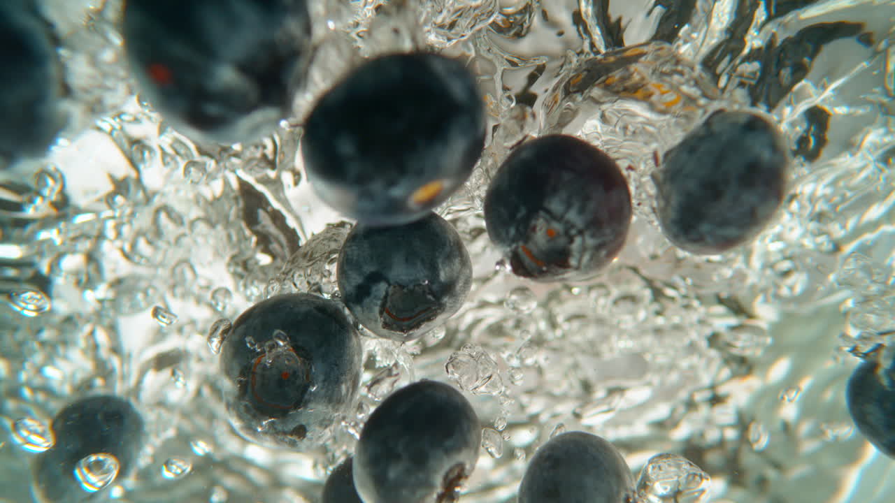 블루베리가 물에 어지고