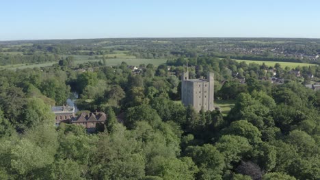 A-lush-green-forest-with-a-castle-in-the-middle-on-a-warm-summery-day