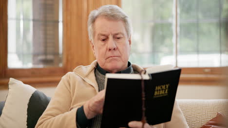 santo, leyendo y hombre mayor con una biblia en el sofá