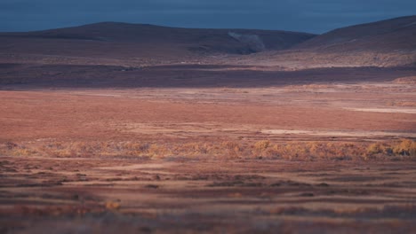Barren-tundra-landscape-in-the-Varanger-national-park