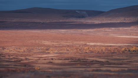 barren tundra landscape in the varanger national park