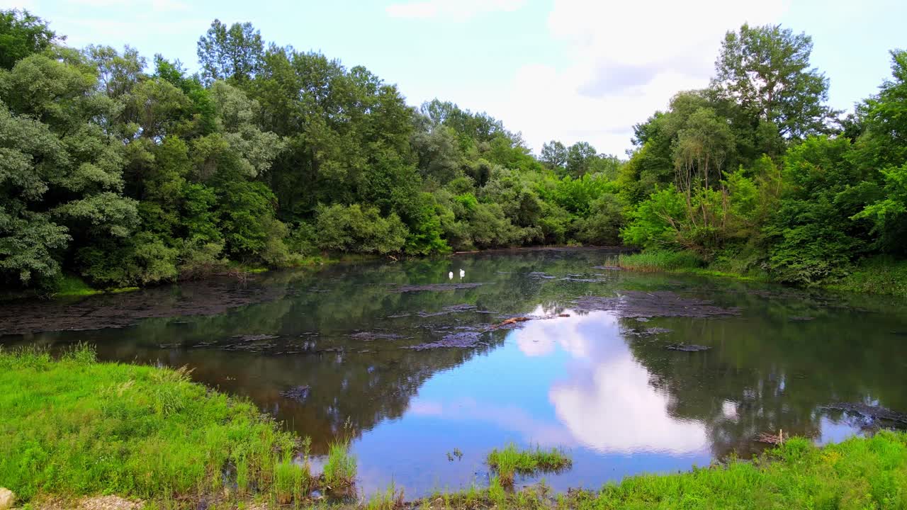 Splendide riprese aeree 4K con drone della riserva naturale di Ormož, un paradiso di biodiversità.