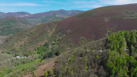 Vista-Aérea-De-La-Montaña-Y-El-Bosque-Durante-El-Día-En-Galicia,-España.