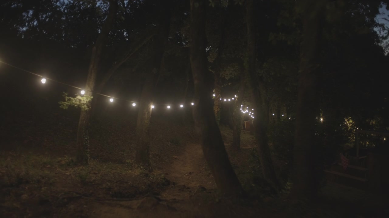 La telecamera avanza lungo un sentiero buio nella foresta di notte, illuminato da una ghirlanda di luci decorative luminose appese agli alberi.
