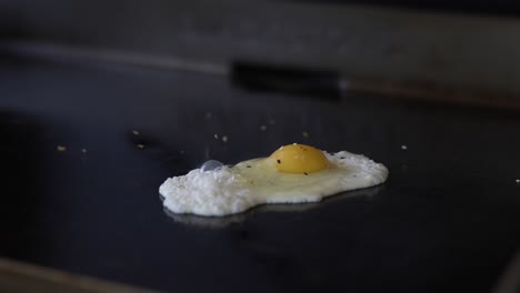 4k slow-motion clip of an egg being seasoned on a griddle