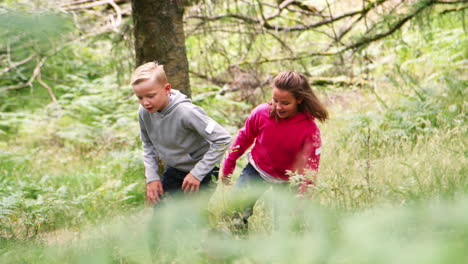 two children walking in a forest amongst greenery, handheld, lake district, uk