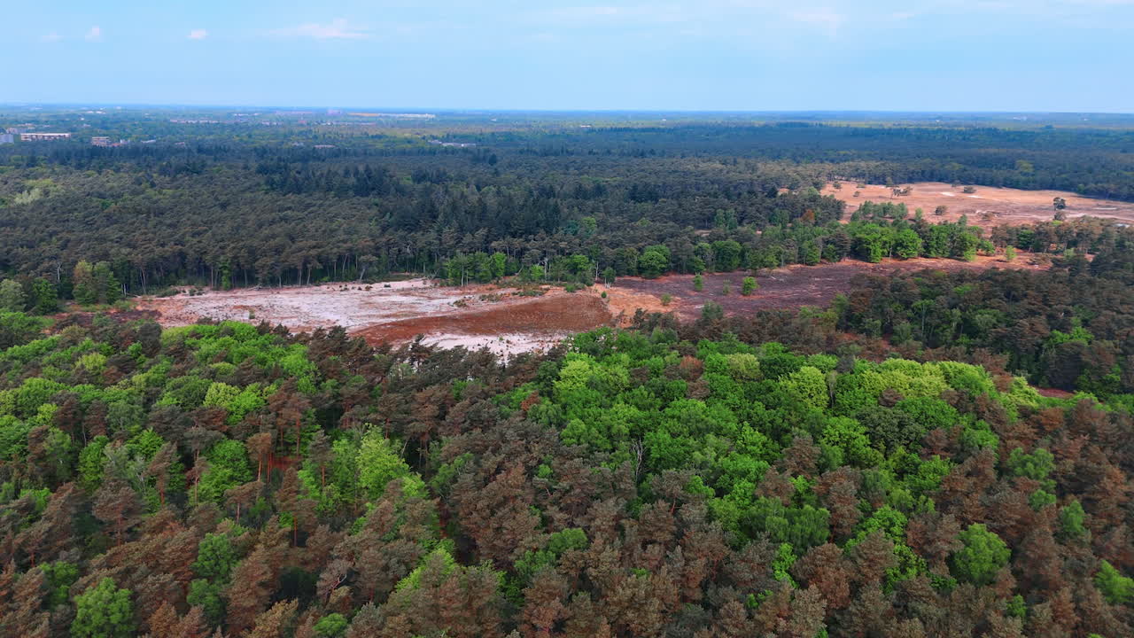 Forest view of nature in the Netherlands. Aerial view showcasing the lush green forests and patches of barren land in the Netherlands during daytime