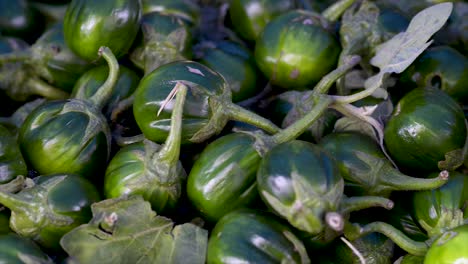 Solanum-Gilo,-Scharlachrote-Aubergine,-Zum-Verkauf-Auf-Dem-Freien-Markt,-Panoramaplan