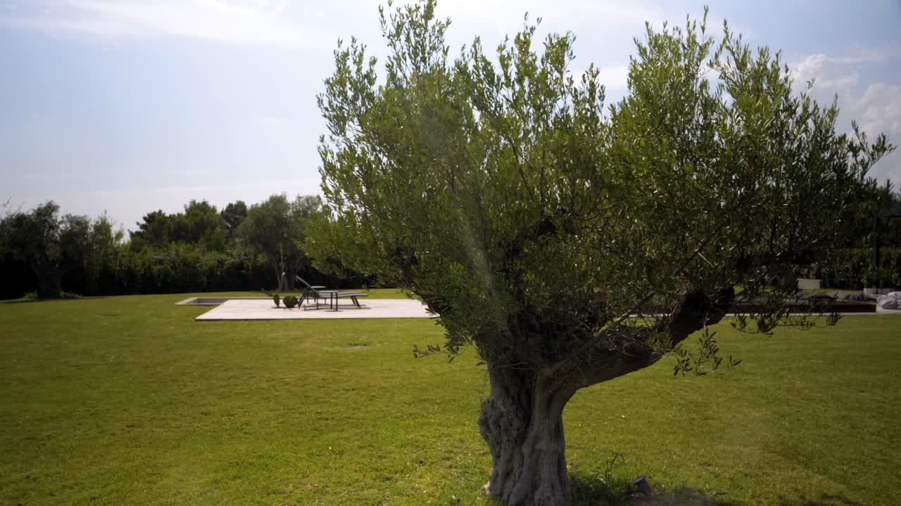 빌라에서 개인 수영장과  ⁇ 자루를 드러내는 나무 주위를 천천히 돌고 있는  ⁇