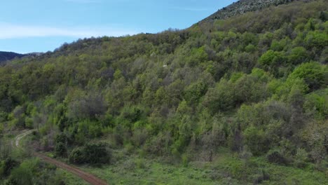 Slow-cinematic-drone-shot-of-a-green-hill-with-trees-|-4K