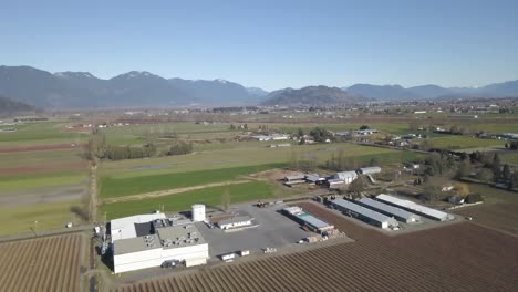 4K-Drone-Shot-of-Berry-farm