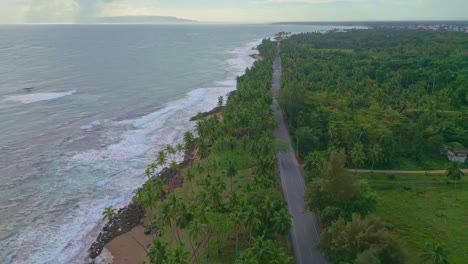 aerial flyover coastal road surrounded by tropical palm trees and caribbean sea during cloudy day - nagua, dominican republic