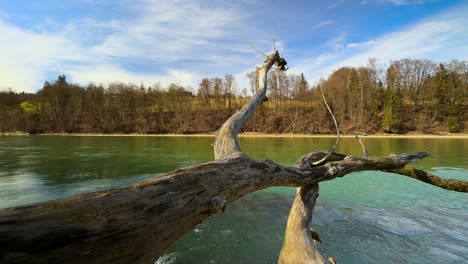 slomo - la cámara vuela a través de la madera flotante en el verde río tirolés