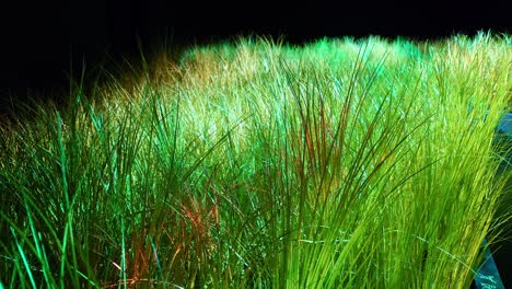 dark room displaying fake lush lawn replicating light behaviour on grass