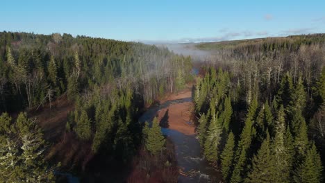 foggy morning over some trees and a river shot by drone in 4k 60fps