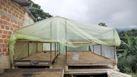 shot of a coffee plantation greenhouse where coffee beans are sorted cleaned drilled and treated dried in sun and prepared artisanal process in traditional village farmland of colombia sierra nevada