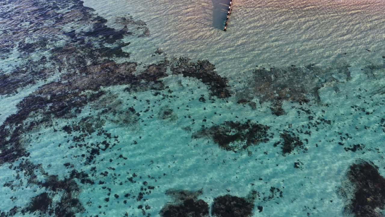Drone glides over sandy beach, wooden pier, and clear turquoise water with visible seaweed patches