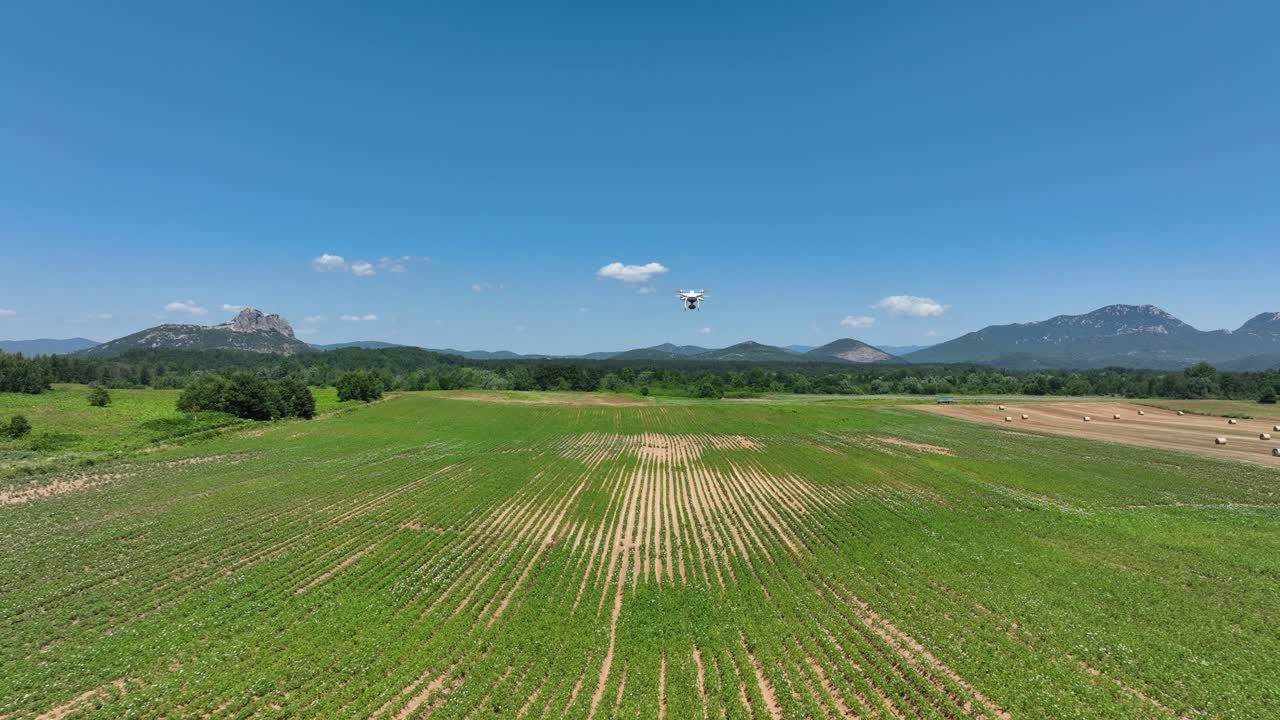 Drone flying over a green field, mapping crops with advanced sensors in sunny weather