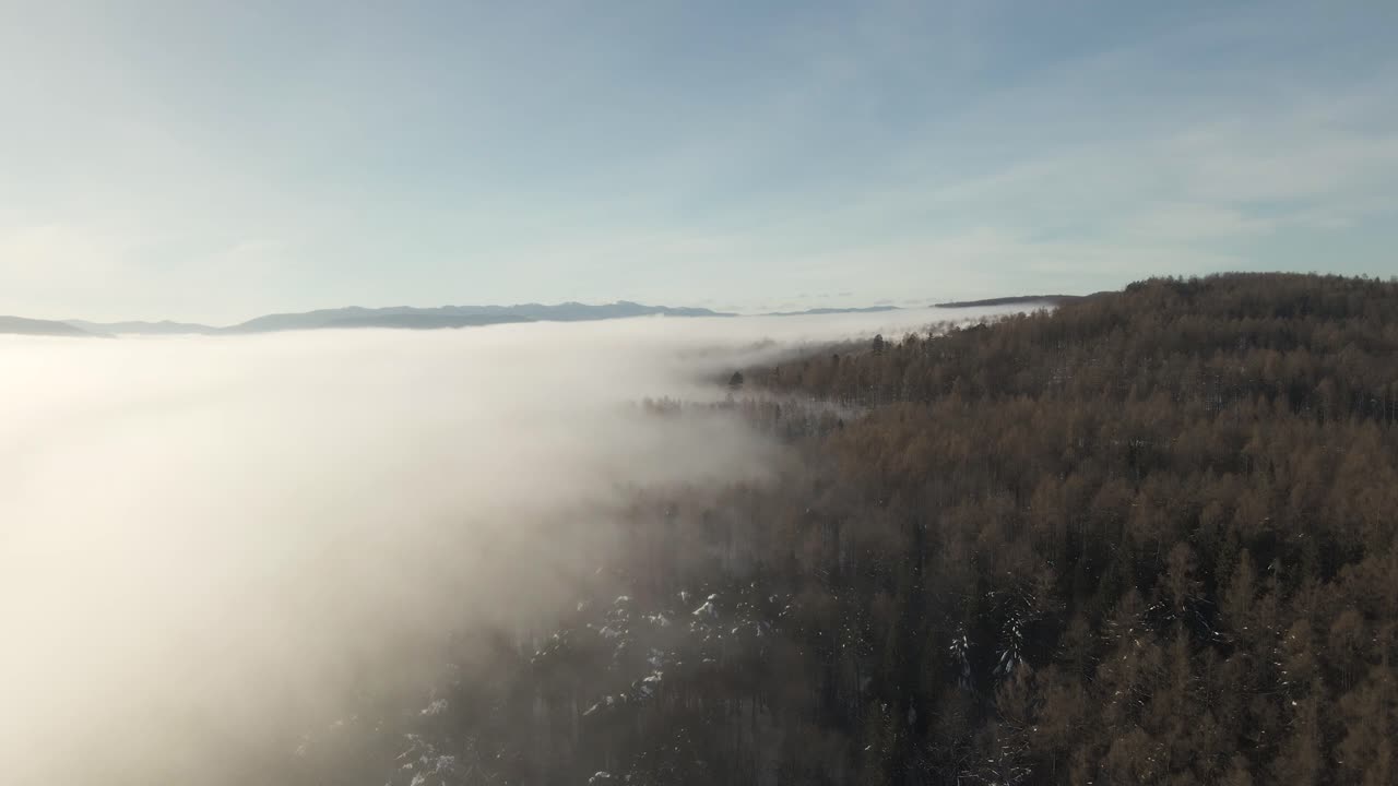 우크라이나 산의 숲 위의 구름의 아름다운 장면 - 공중