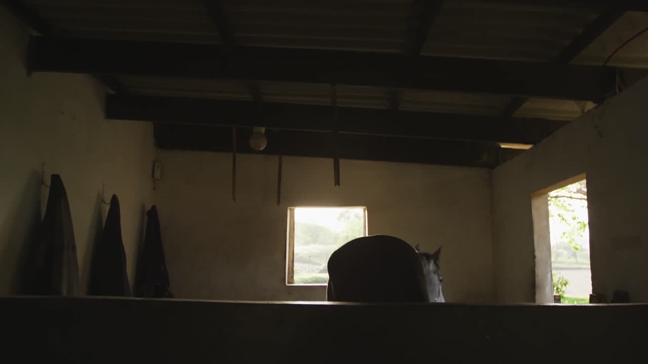 마차 의 말 이 창고 에서  ⁇ 고 있다