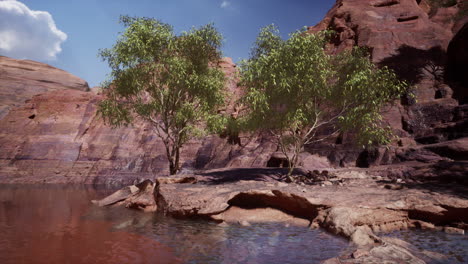 Leuchtende-Sonnenstrahlen-Spiegeln-Sich-Im-Kalten-Wasser-Des-Colorado-River