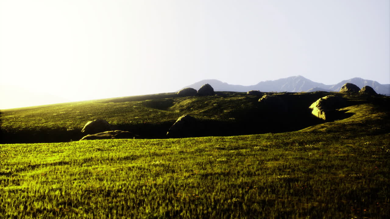 Lush green hillside bathed in sunlight with distant mountains in background