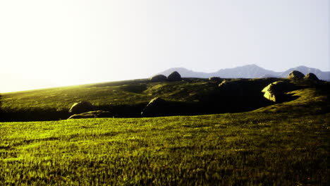 lush green hillside bathed in sunlight with distant mountains in background