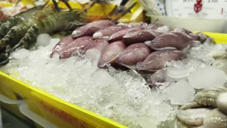 fresh seafood on ice